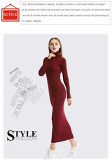 New Fashion Women Sexy Party Dress Knit Style Long Sleeve Turtleneck Winter Maxi Dress Slim Work Wear Office Dress Vestidos